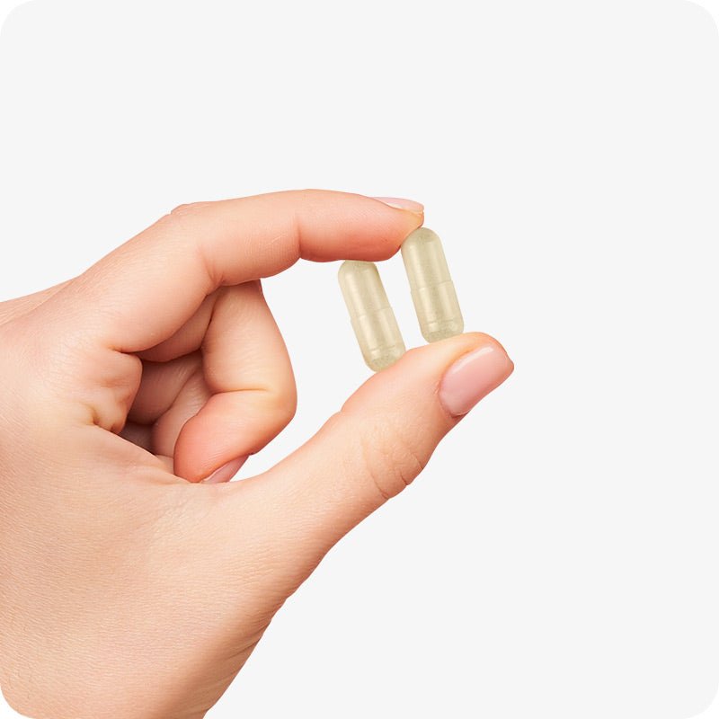 Conceive Plus Ovulation Support (FR) capsules held between fingers, showing two translucent beige capsules close-up to highlight their compact, easy-to-swallow size and smooth texture, ideal for daily ovulation support.